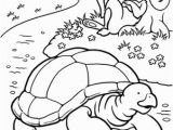 Tortoise and the Hare Coloring Page Color the tortoise and the Hare