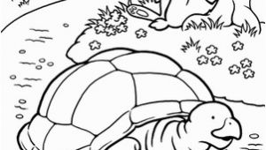Tortoise and the Hare Coloring Page Color the tortoise and the Hare