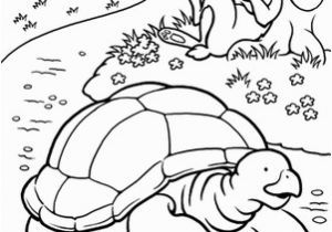 Tortoise and the Hare Coloring Page Color the tortoise and the Hare