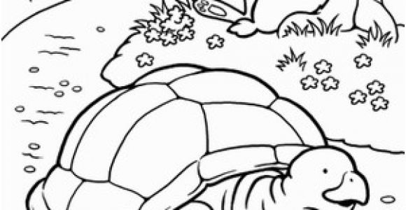 Tortoise and the Hare Coloring Page Color the tortoise and the Hare