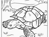 Tortoise and the Hare Coloring Page Color the tortoise and the Hare Worksheet