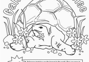 Tortoise and the Hare Coloring Page Color the tortoise and the Hare Worksheet