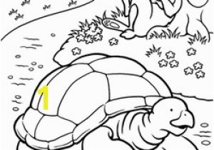 Tortoise and the Hare Coloring Page Color the tortoise and the Hare Worksheet