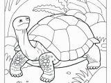 Tortoise and the Hare Coloring Page tortoise and the Hare Coloring Page New Unique Crayola Coloring