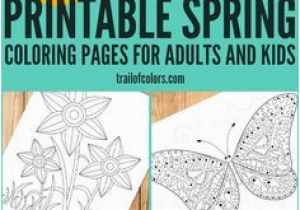 Towel Coloring Page 184 Best Free Coloring Pages Images On Pinterest