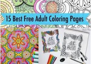 Towel Coloring Page 184 Best Free Coloring Pages Images On Pinterest