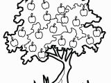 Tree Bark Coloring Pages Tree Bark Coloring Pages New 13 Awesome Hawaii Coloring Pages