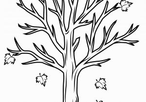 Tree Branch Coloring Page Fall Tree Template Yatay Horizonconsulting