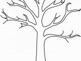 Tree Branch Coloring Page Fall Tree Template Yatay Horizonconsulting