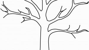 Tree Branch Coloring Page Fall Tree Template Yatay Horizonconsulting