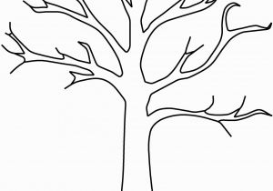 Tree Branch Coloring Page Fall Tree Template Yatay Horizonconsulting