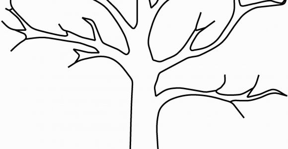 Tree Branch Coloring Page Fall Tree Template Yatay Horizonconsulting