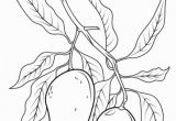 Tree Branch Coloring Page Mango Branch Coloring Page