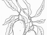 Tree Branch Coloring Page Mango Branch Coloring Page