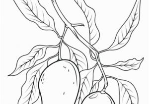 Tree Branch Coloring Page Mango Branch Coloring Page