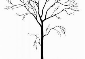 Tree Branch Coloring Page Pin by Douglas Bourne On Graphs Flowers