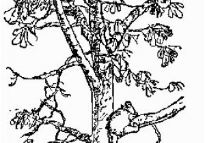 Tree Branch Coloring Page Pin by Janae Sumsion On Kira 4th