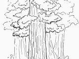 Tree Coloring Pages for Adults Drawing Book for Kids 20 Pages Unique Monet Coloring Pages