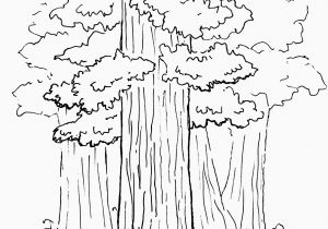 Tree Coloring Pages for Adults Drawing Book for Kids 20 Pages Unique Monet Coloring Pages