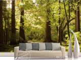 Tree Murals for Walls Mural 3d Wallpaper Big Tree Sunny Background Wall Customized