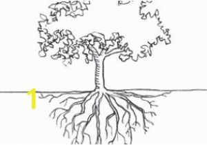 Tree with Roots Coloring Page 28 Collection Of Tree Coloring Pages with Roots