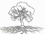 Tree with Roots Coloring Page Root Coloring Vfbi Roots Coloring Page Oak Tree Massive Roots