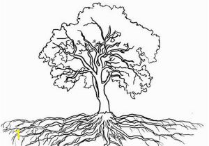 Tree with Roots Coloring Page Root Coloring Vfbi Roots Coloring Page Oak Tree Massive Roots