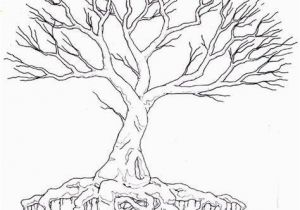 Tree with Roots Coloring Page Tree Drawing with Color and Roots Tree with Roots Coloring Page