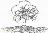 Tree with Roots Coloring Page Tree with Roots Coloring Page ÐÐµÑÐµÐ²ÑÑ Pinterest