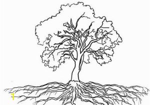 Tree with Roots Coloring Page Tree with Roots Coloring Page ÐÐµÑÐµÐ²ÑÑ Pinterest