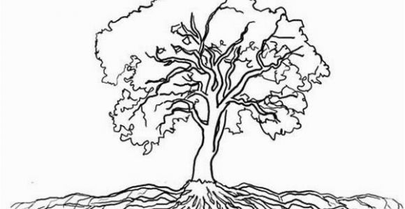 Tree with Roots Coloring Page Tree with Roots Coloring Page ÐÐµÑÐµÐ²ÑÑ Pinterest