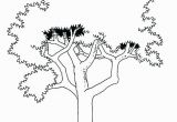 Tree with Roots Coloring Page Tree with Roots Coloring Page the is Seen In Detail Pages C