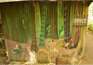 Treehouse Mural Tree House Picture Of Platypus Bush Camp Finch Hatton Tripadvisor