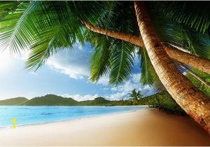 Tropical Beach Wall Mural Mahe island Wall Mural Beach Wallpaper