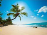 Tropical Beach Wall Mural Tropical Beach In the Sun Self Adhesive Wall Mural • Pixers