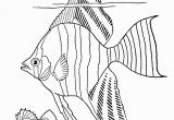 Tropical Fish Coloring Pages Coloring Freeintable Adult Coloring Page Tropical Fish the