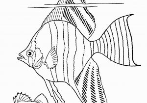 Tropical Fish Coloring Pages Coloring Freeintable Adult Coloring Page Tropical Fish the