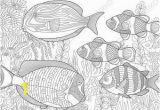 Tropical Fish Coloring Pages Coloring Pages for Adults Tropical Fishes Adult Coloring