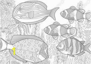 Tropical Fish Coloring Pages Coloring Pages for Adults Tropical Fishes Adult Coloring