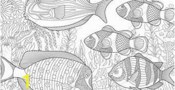 Tropical Fish Coloring Pages Coloring Pages for Adults Tropical Fishes Adult Coloring