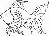 Tropical Fish Coloring Pages Coloring Pages Preschool Rainbow Berbagi Ilmu Belajar Bersama