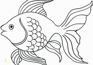 Tropical Fish Coloring Pages Coloring Pages Preschool Rainbow Berbagi Ilmu Belajar Bersama