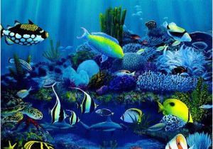 Tropical Fish Wall Mural Hawaii Wall Art Tropical Fish Paintings Living Reef