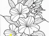 Tropical Flower Coloring Pages 28 Best to Color Flowers Images