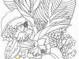 Tropical Flower Coloring Pages 566 Best Coloring Pages Images