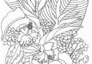 Tropical Flower Coloring Pages 566 Best Coloring Pages Images