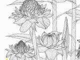 Tropical Flower Coloring Pages Amazon Selva Escape My Animal island Flores Ex³ticas