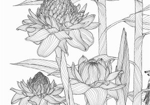 Tropical Flower Coloring Pages Amazon Selva Escape My Animal island Flores Ex³ticas