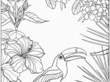 Tropical Flower Coloring Pages Pin by Araba Bo On Pics for Coloring Pinterest