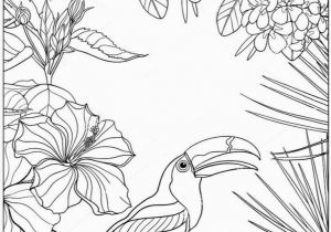 Tropical Flower Coloring Pages Pin by Araba Bo On Pics for Coloring Pinterest